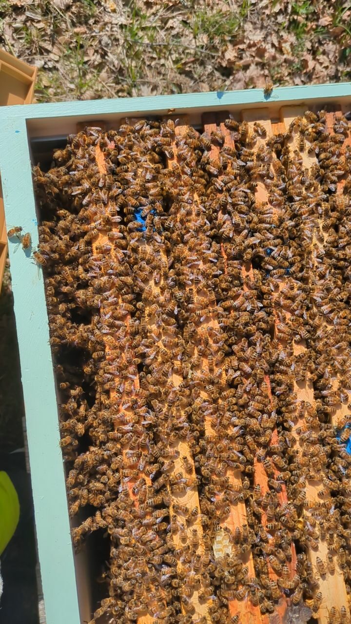 Instagram post from beefolies. This post is in position 1.