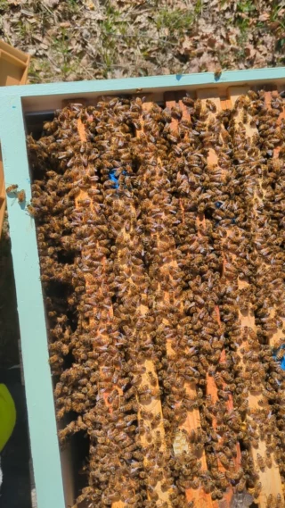 Instagram post from beefolies. This post is in position 2.