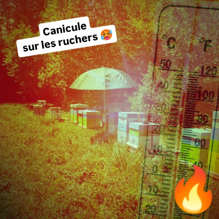 Instagram post from beefolies. This post is in position 1.
