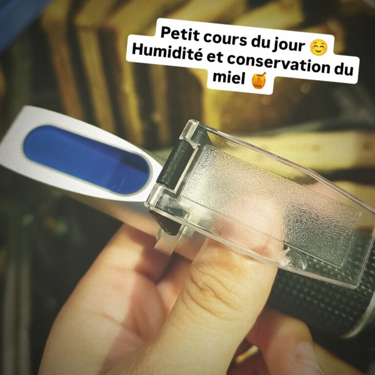 Instagram post from beefolies. This post is in position 3.