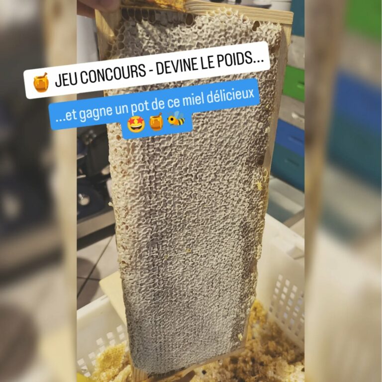 Instagram post from beefolies. This post is in position 1.