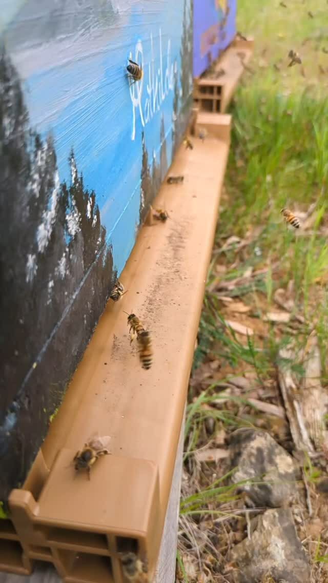 Instagram post from beefolies. This post is in position 4.