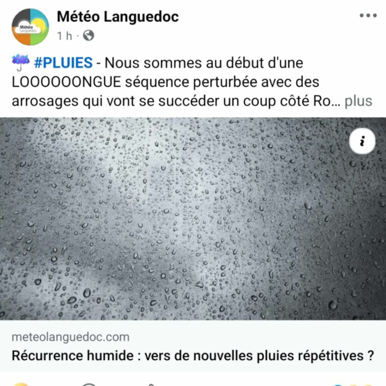 Instagram post from beefolies. This post is in position 1.