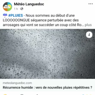 Instagram post from beefolies. This post is in position 3.